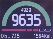 GARMIN epix - Schritte