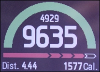 GARMIN epix - Steps