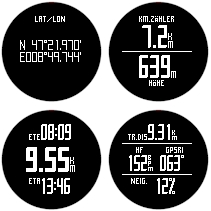 GARMIN fenix 2 Datenfelder