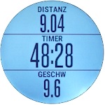 GARMIN fenix 3 - 3 Datenfelder Laufen