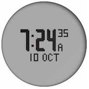 GARMIN Forerunner 110 Time and Date