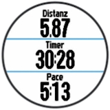 GARMIN Forerunner 220 - Datenfelder