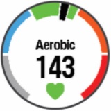 GARMIN Forerunner 225 - Heart Rate