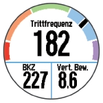 GARMIN Forerunner 620 - Laufeffizienz