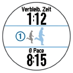 GARMIN Forerunner 620 - Virtual Partner