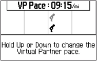 GARMIN Forerunner 910XT Virtual Partner