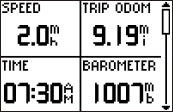 GARMIN Foretrex 301 Trip Computer