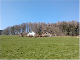 House near forest